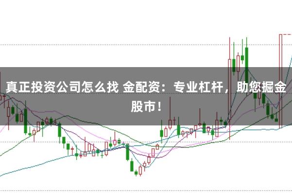 真正投资公司怎么找 金配资：专业杠杆，助您掘金股市！