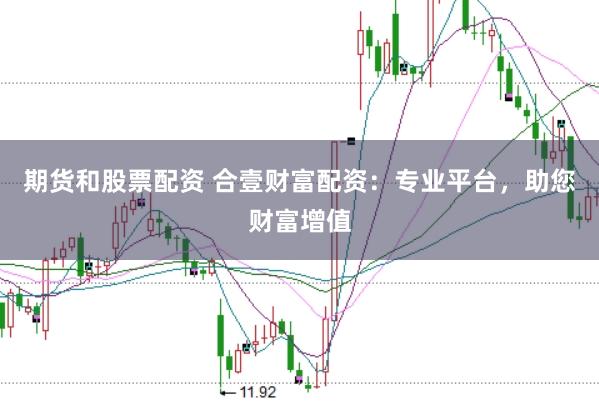 期货和股票配资 合壹财富配资：专业平台，助您财富增值